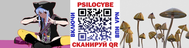 Галлюциногенные грибы Cubensis купить наркотик Михайловск