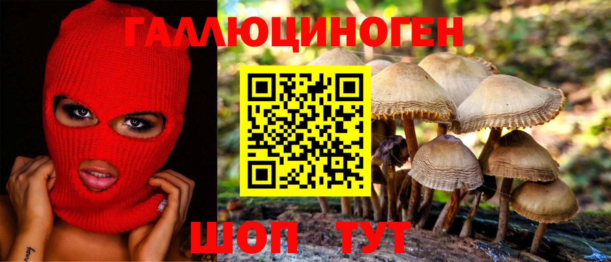 Михайловск  Галлюциногенные грибы прущие грибы  Вход с VPN 