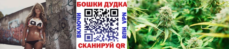 Каннабис конопля Михайловск